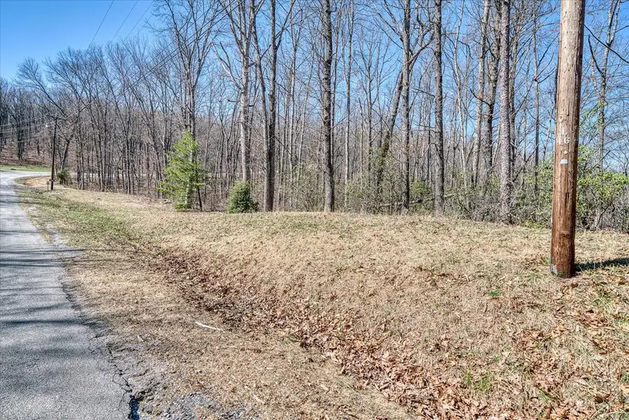 0 Lot 734 Renegade Pkwy, Crab Orchard, TN 37723 - Image #2