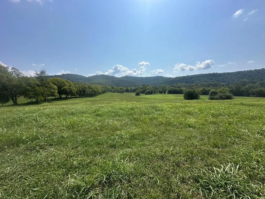 0 Cane Creek Cummingsville Rd, Sparta, TN 38583 - Image #1