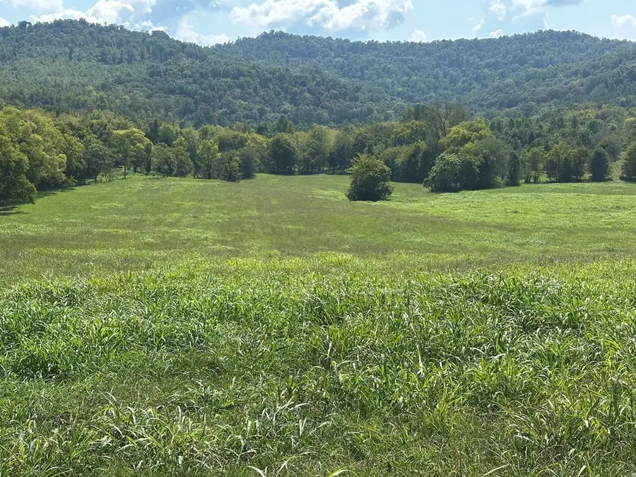 0 Cane Creek Cummingsville Rd, Sparta, TN 38583 - Image #2