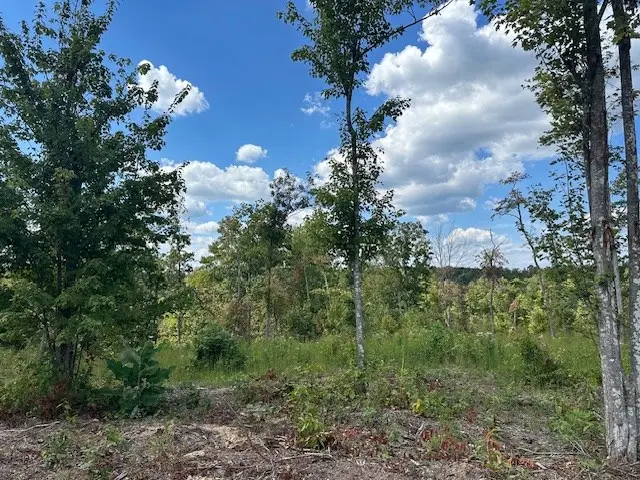 Lot 6 Flat Rock Rd, Jamestown, TN 38556 - Image #3