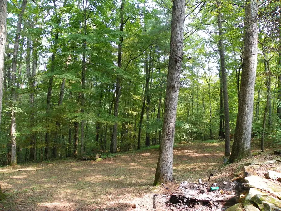 1555 Brown Creek Dr, Crossville, TN 38571 - Image #3