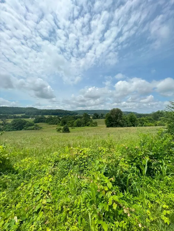 0 Hollis Stockton Ln, Livingston, TN 38570 - Image #3