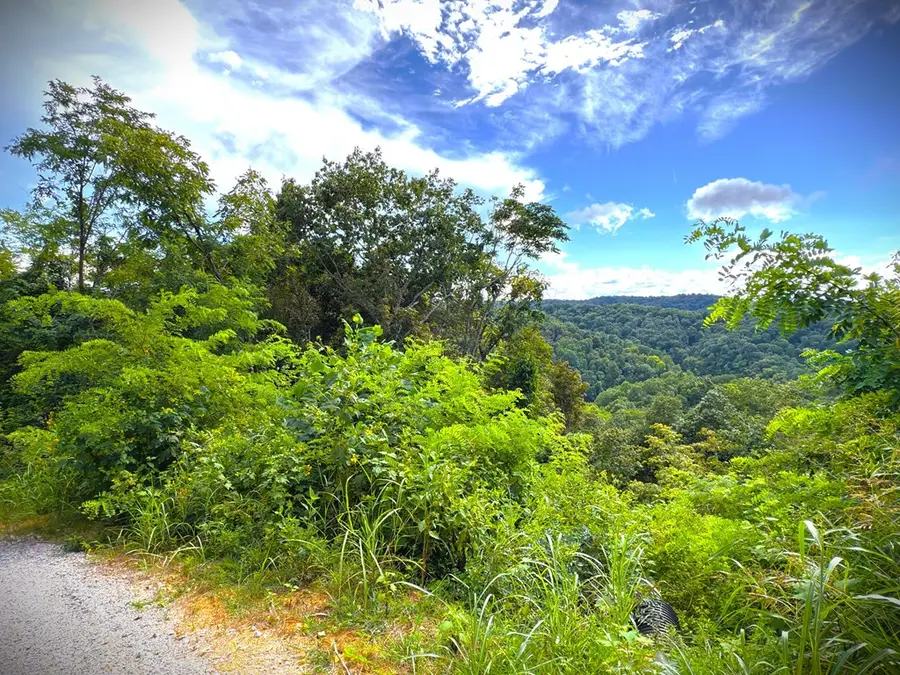 142C Sunfish Ln, Hilham, TN 38568 - #2