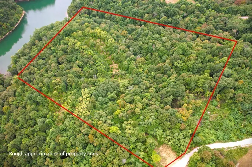 142C Sunfish Ln, Hilham, TN 38568 - #3