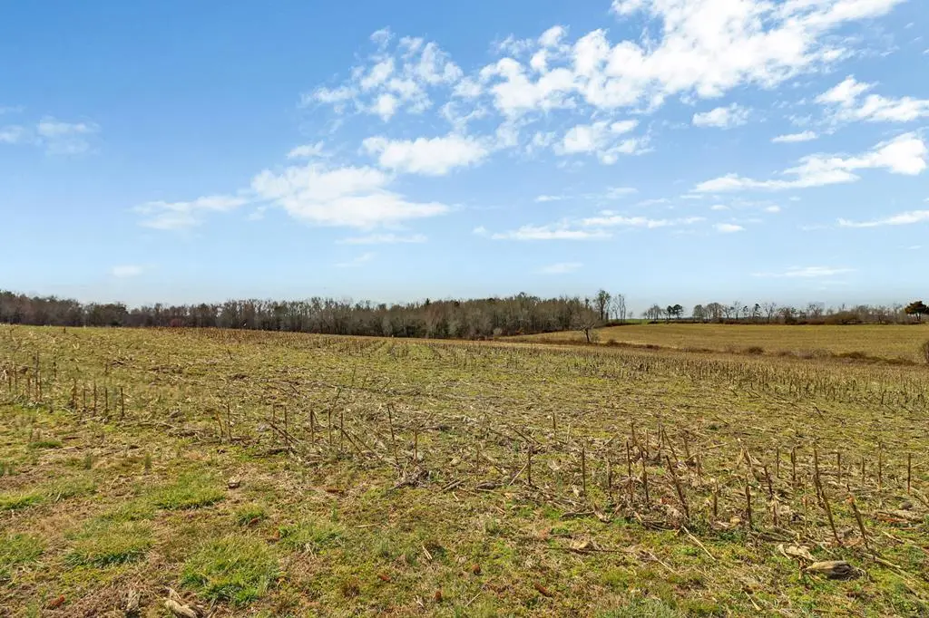 40 acres Rugby Pike, Jamestown, TN 38556 - Image #1
