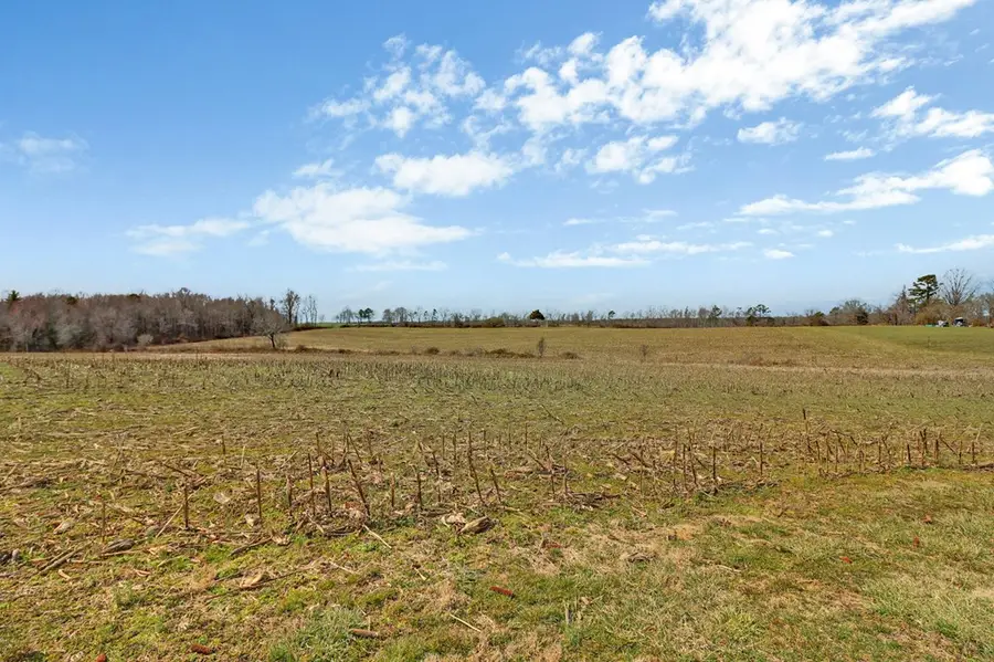 40 acres Rugby Pike, Jamestown, TN 38556 - Image #3