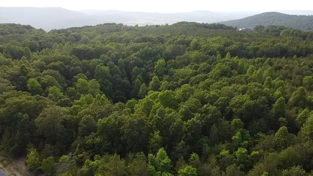 Lot 121 Baker's Terrace, Spencer, TN 38585 - Image #1