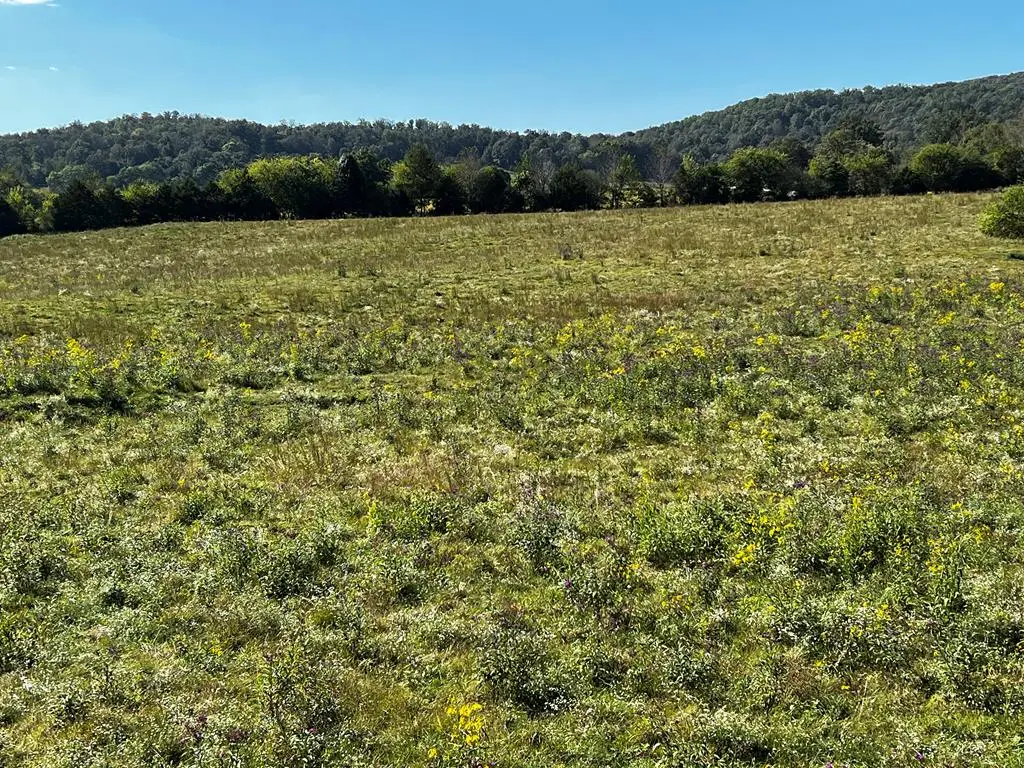 00 Hickory Valley Rd, Sparta, TN 38583 - Image #1