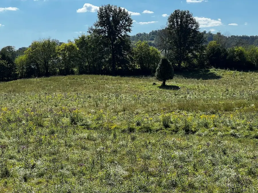 00 Hickory Valley Rd, Sparta, TN 38583 - Image #3