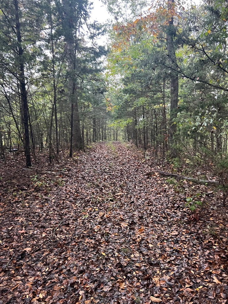 00 Old Hwy 42 S, Monroe, TN 38573 - Image #2