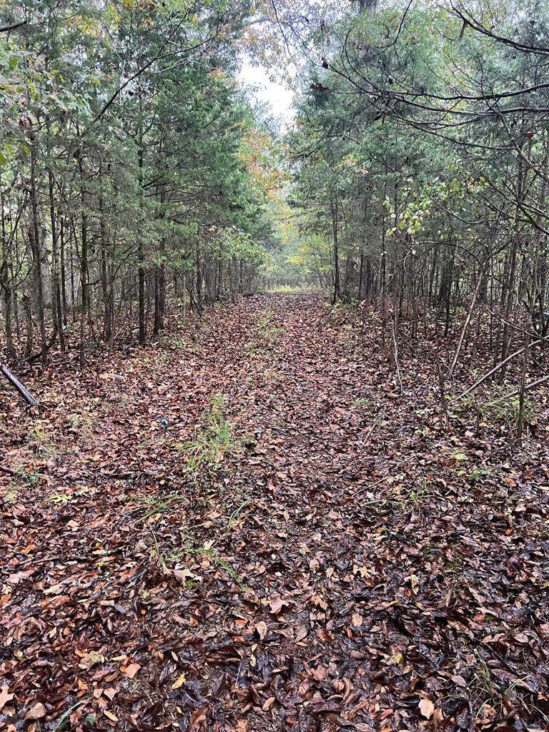 00 Old Hwy 42 S, Monroe, TN 38573 - Image #3