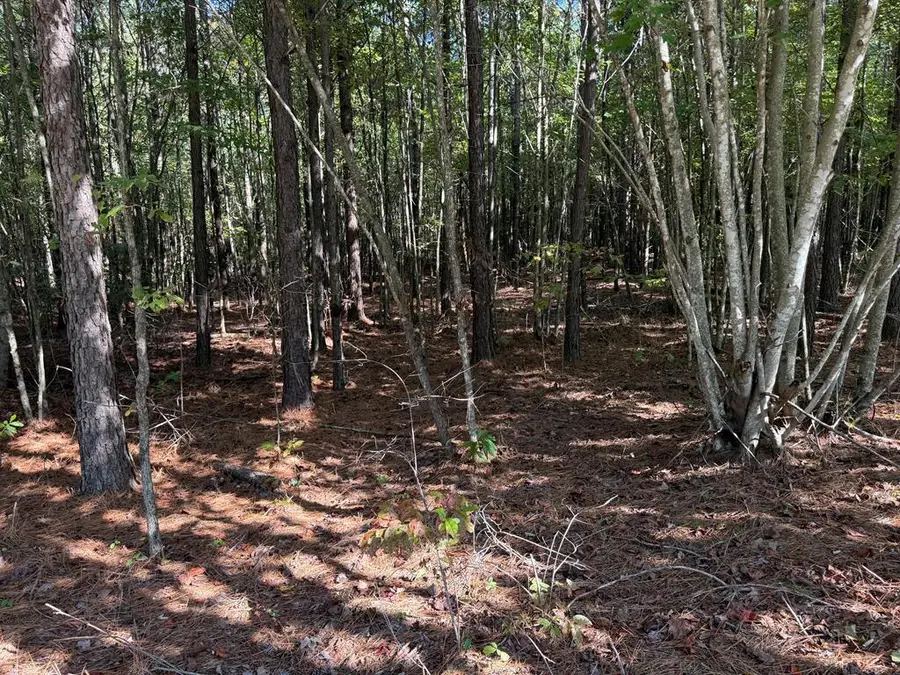 Lot 60 Topside Dr, Spencer, TN 38585 - Image #2