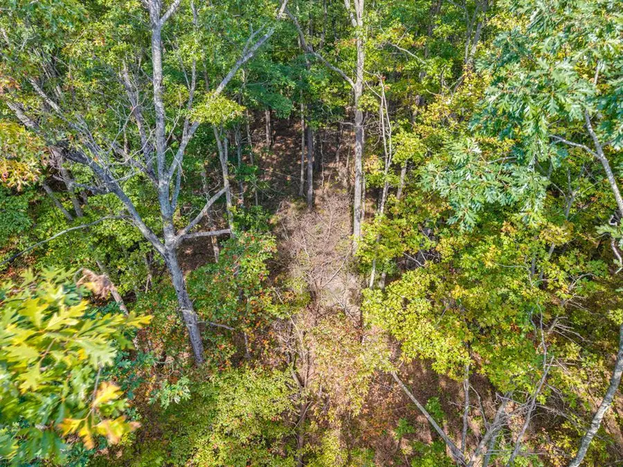 Lot 3&4 W Laurel Way, Monterey, TN 38574 - Image #2