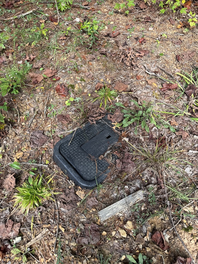 Lot 3&4 W Laurel Way, Monterey, TN 38574 - Image #3