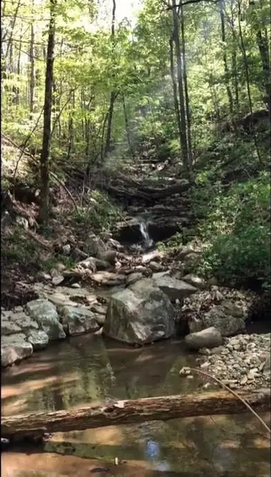 103 AC Harrison Ferry Road, McMinnville, TN 37110 - Image #3