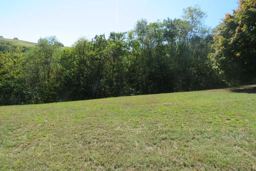 1C & 2C Goose Road, Hilham, TN 38568 - #1