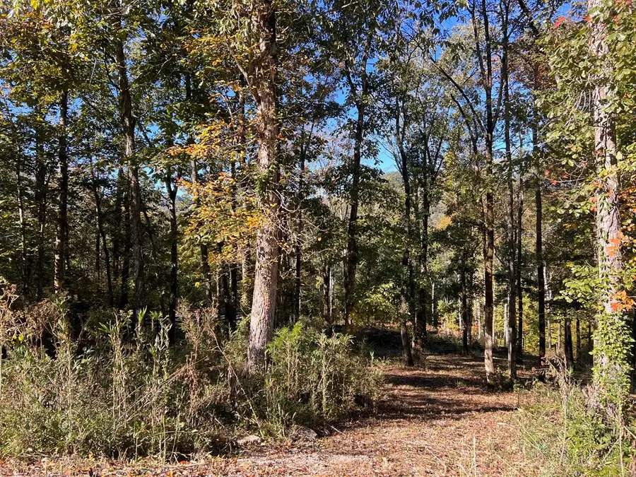 Lot 19 Shoreside Dr, Smithville, TN 37166 - Image #2