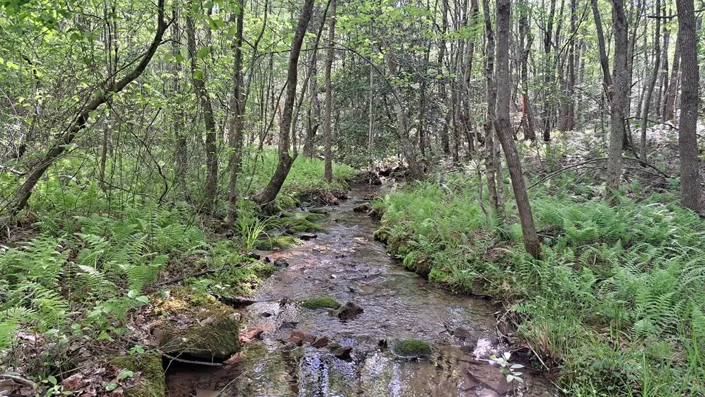 Lot 20 Timber Valley Trail (pca), Rockwood, TN 37854 - Image #1