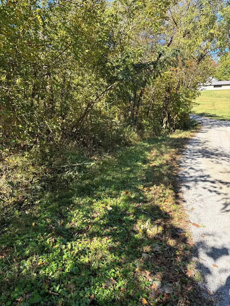 5 AC Dynamite Ln, Livingston, TN 38570 - Image #2