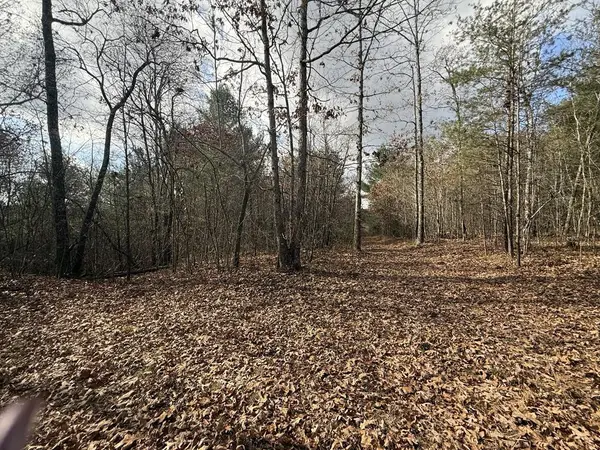 10.77 Ac Valerie Dr, Deer Lodge, TN 37726-3506