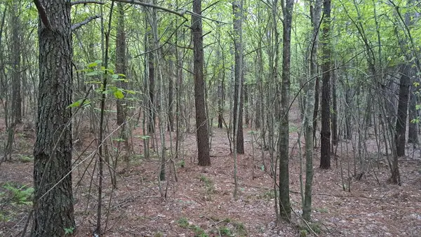 Lot 22 Timber Valley Trail (pca), Rockwood, TN 37854