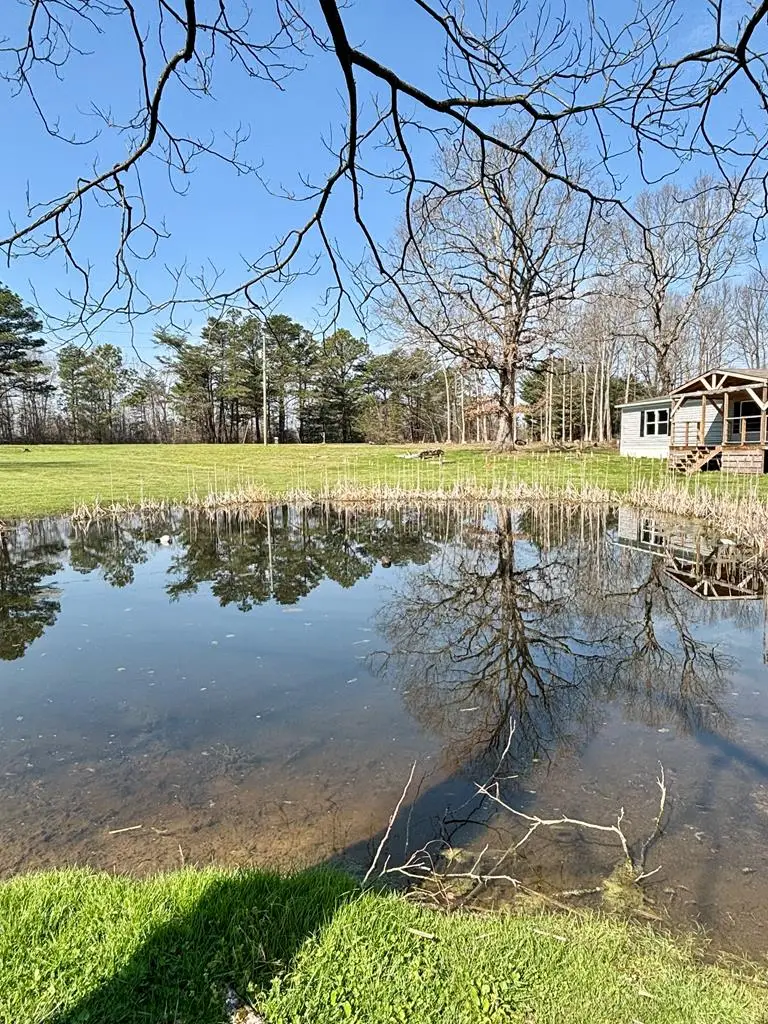 130 Dripping Springs Ct, Monterey, TN 38574 - #2