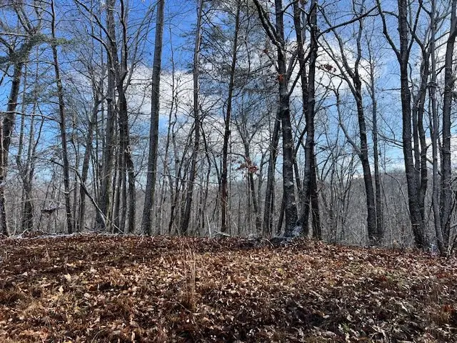 Belmont Belmont, Monterey, TN 38574 - Image #3