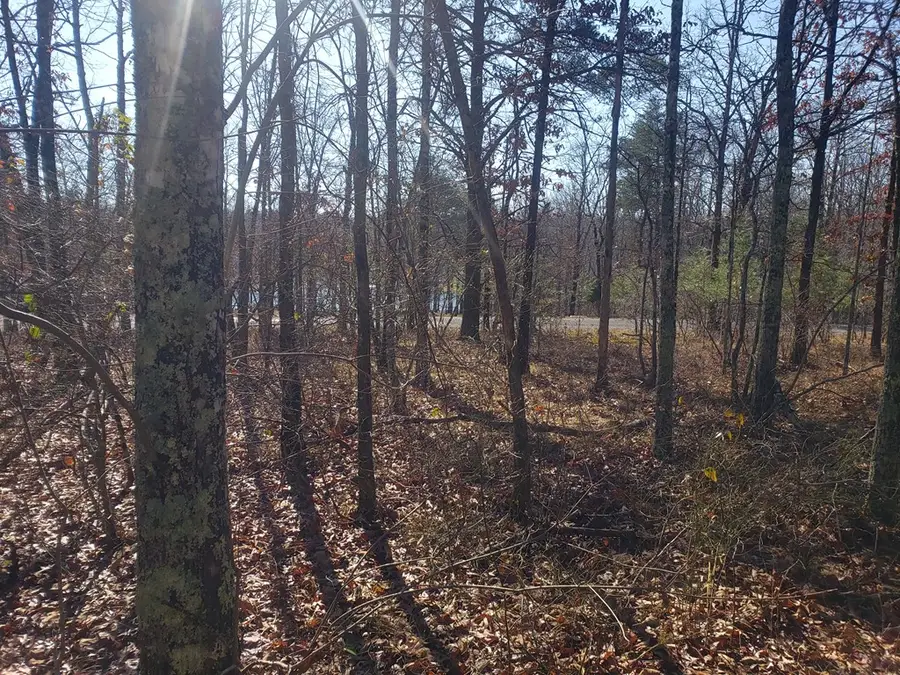 Lot 44 Hemlock Lane, Spencer, TN 38585 - Image #2
