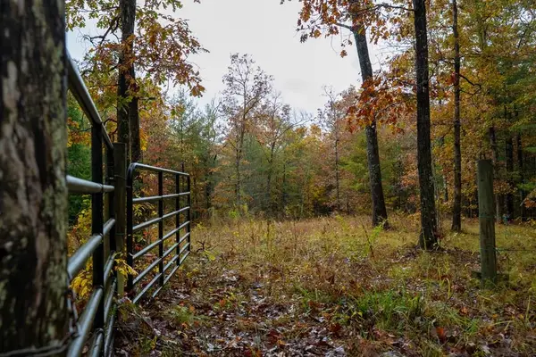 00 Trailhead Ln, Jamestown, TN 38556