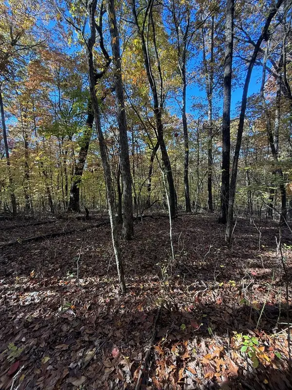 Lot 29 Crest Road, MONTEREY, TN 38574