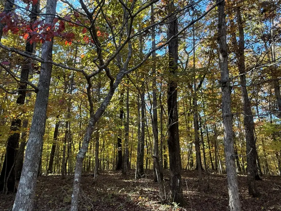 Lot 29 Crest Road, Monterey, TN 38574 - Image #3