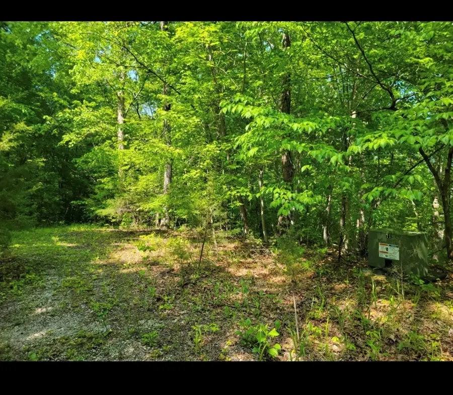 lot 43 Shetland Trace, Sparta, TN 38583 - Image #3