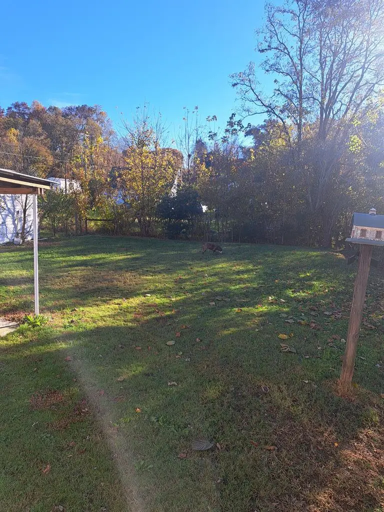 1008 Honeysuckle Lane, Byrdstown, TN 38549 - Image #3