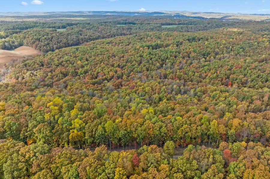 461 E Cove Road, Monterey, TN 38574 - Image #3