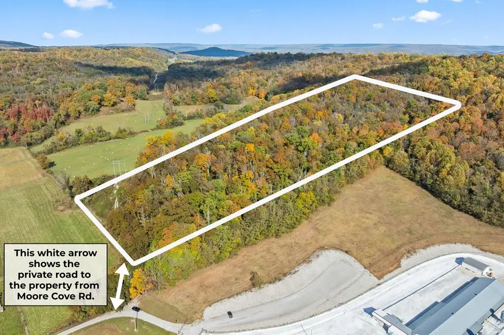23 AC Moore Cove Rd, Sparta, TN 38583 - Image #1