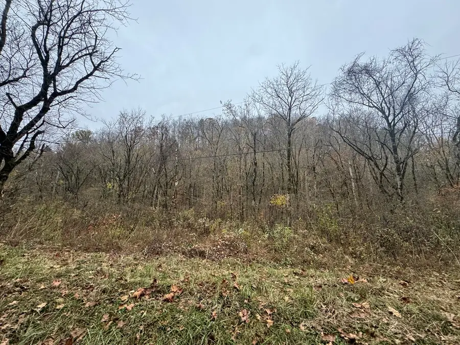 00 Pine Lick Rd, Whitleyville, TN 38588 - Image #3