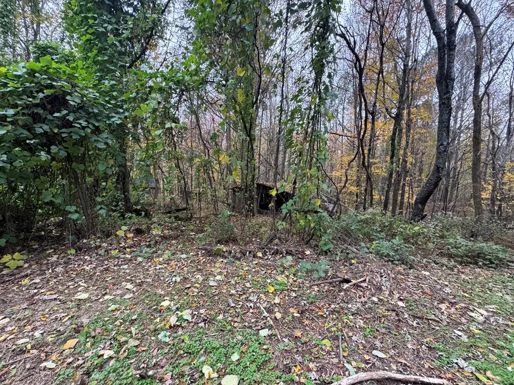 233 Poston Chapel, Gainesboro, TN 38562 - Image #1