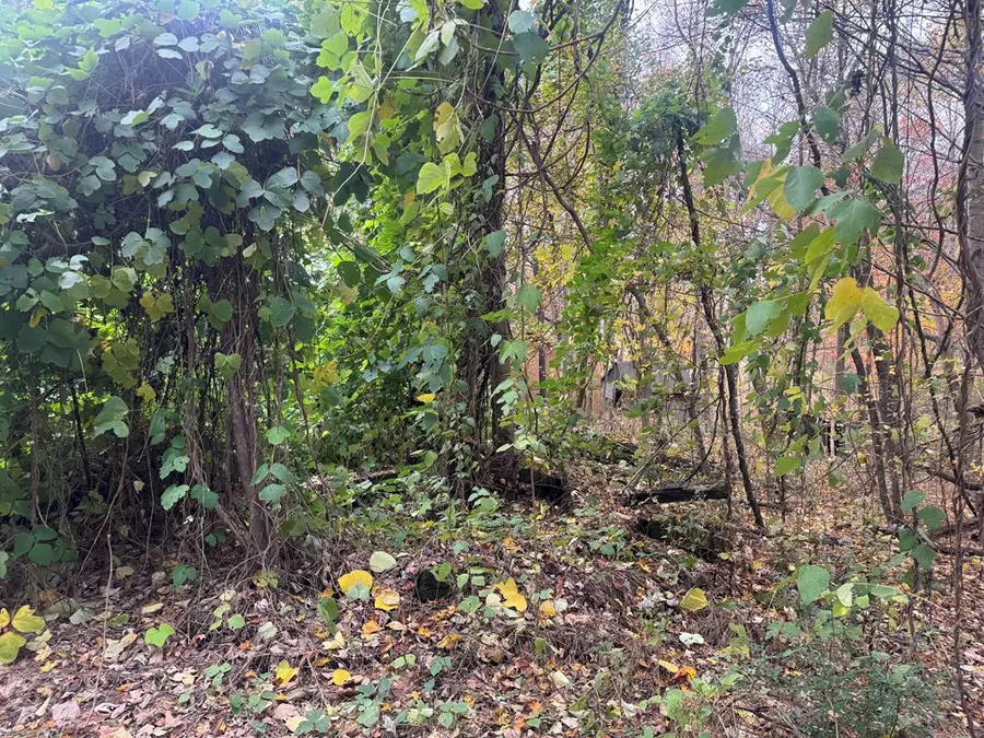 233 Poston Chapel, Gainesboro, TN 38562 - Image #3