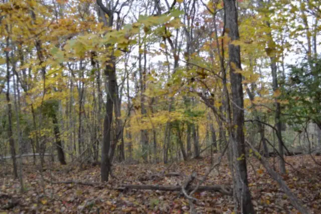 10.70ac Red Oak Ridge Rd, Celina, TN 38551 - Image #2