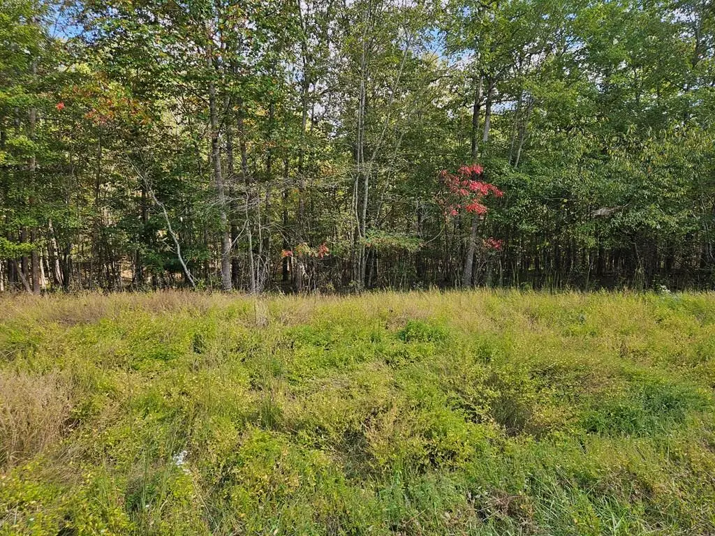 00 Holly Ln, Spencer, TN 38585 - Image #1