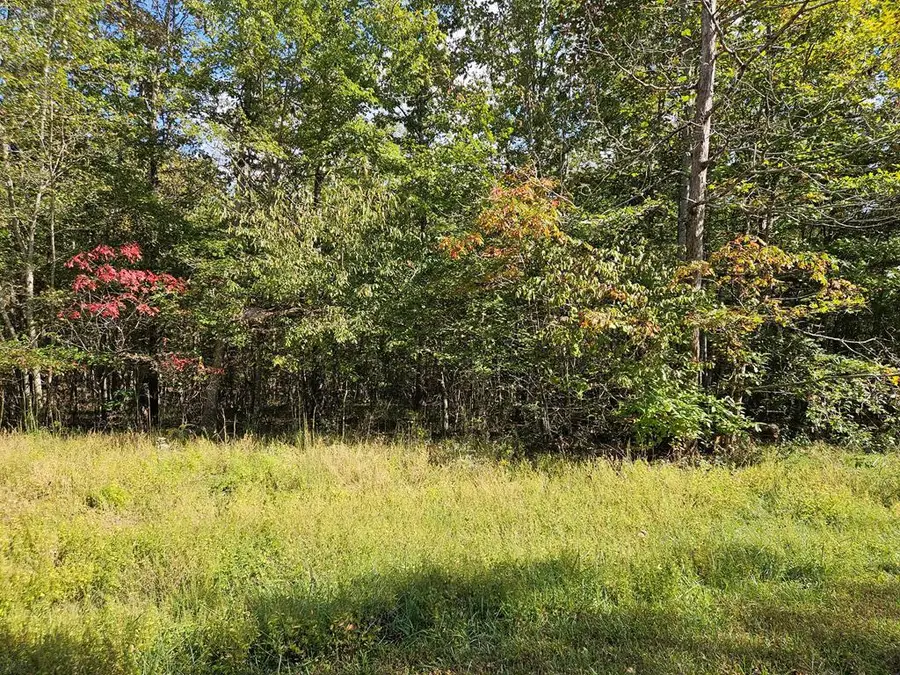 00 Holly Ln, Spencer, TN 38585 - Image #2