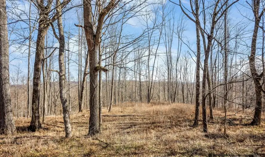 0 Forest Circle, Sparta, TN 38583 - Image #2