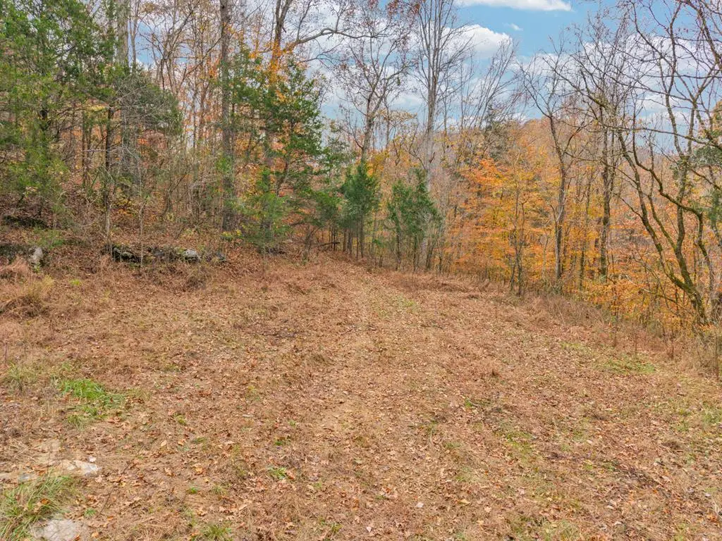 0 Ensor Hollow Rd, Buffalo Valley, TN 38548 - Image #1