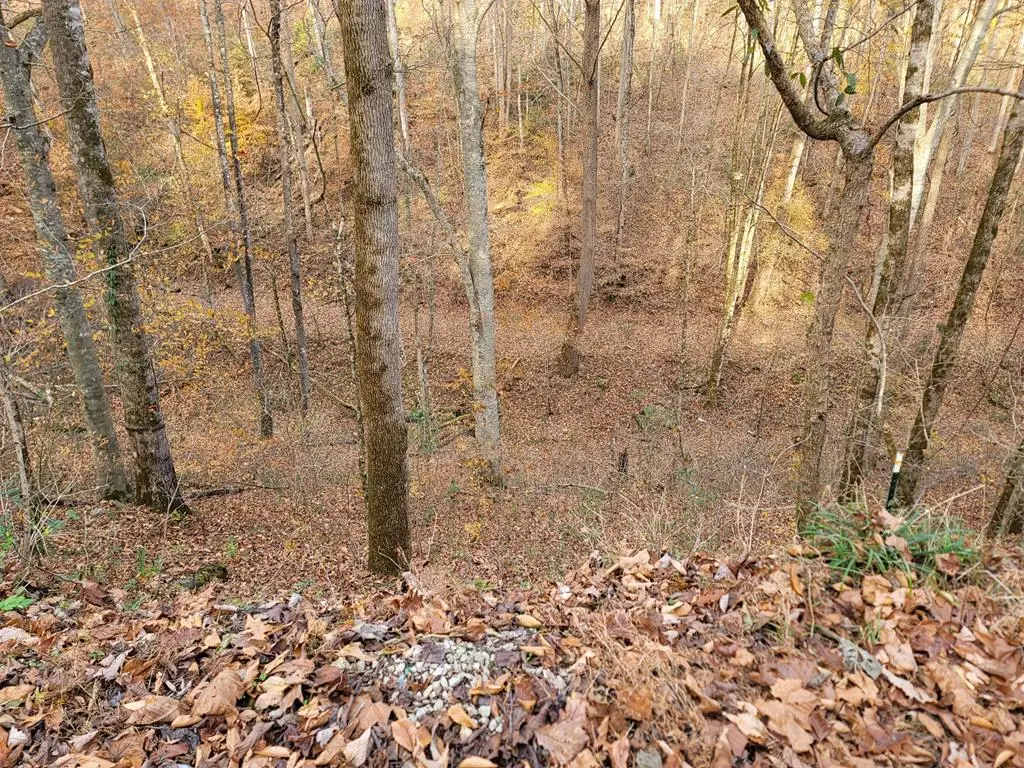 56B Holiday Haven Rd., Smithville, TN 37166 - Image #1