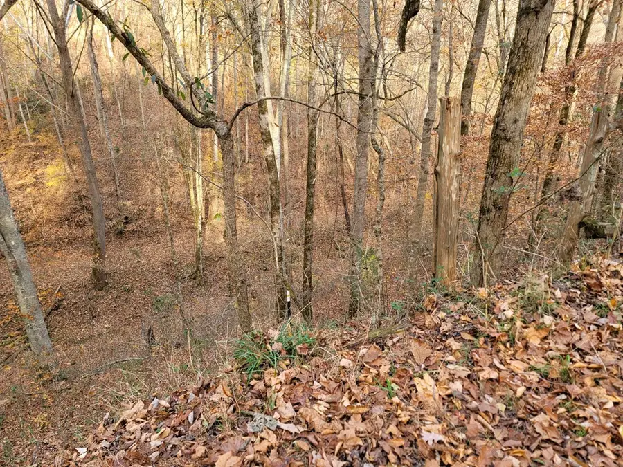 56B Holiday Haven Rd., Smithville, TN 37166 - Image #3