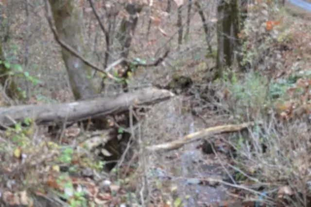 6.70ac Wet Mill Creek Rd, Celina, TN 38551 - Image #3