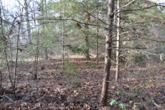 Lot 4 Shotgun Annie Rd, Jamestown, TN 38556 - Image #2