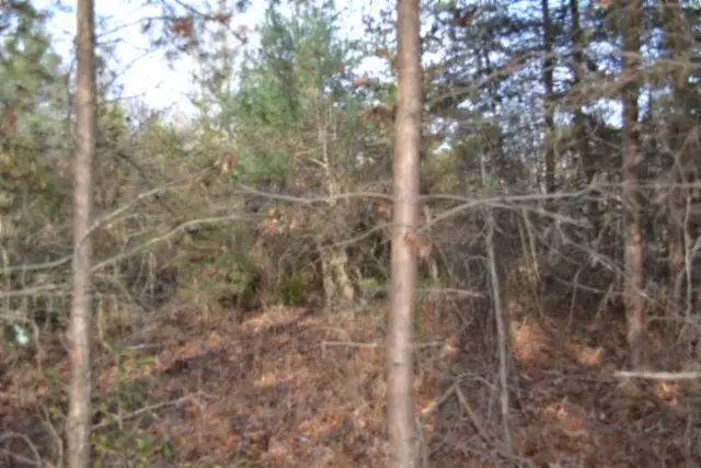 Lot 4 Shotgun Annie Rd, Jamestown, TN 38556 - Image #3