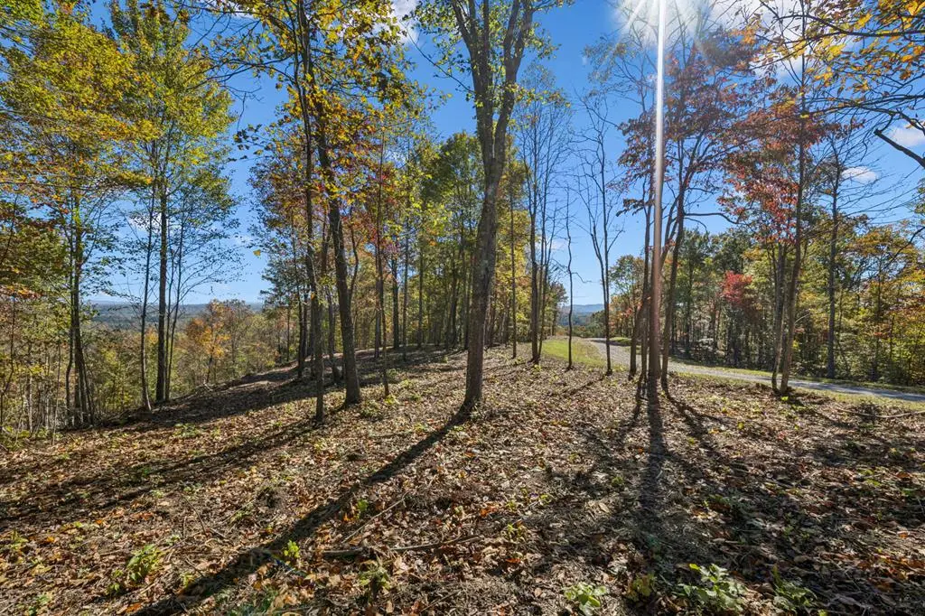 Tract 3 Off Of Sheep Ranch Road, Robbins, TN 37852 - Image #1