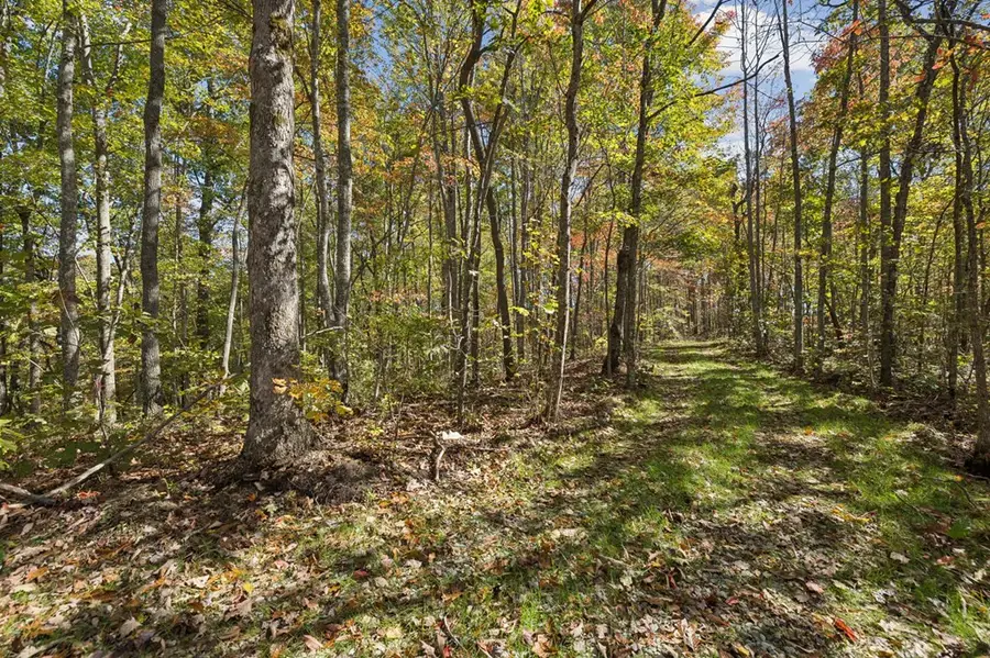 Tract 7 Off Of Sheep Ranch Road, Robbins, TN 37852 - Image #2